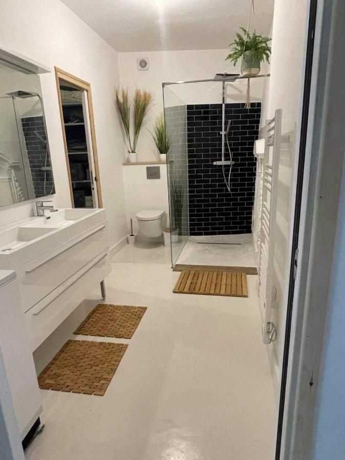 Appartement Au Centre De La Venise Provencale LʼIsle-sur-la-Sorgue Dış mekan fotoğraf